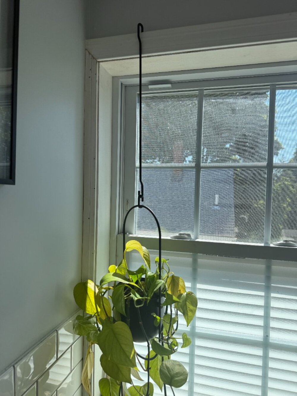 Ikea Set of 3 CHILISTRÅN Hanging planter, indoor/outdoor black, 4 ¾ " - Picture 7 of 7